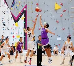 日本职棒赛事长期稳定原因